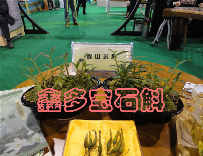 三年生米斛盆景展